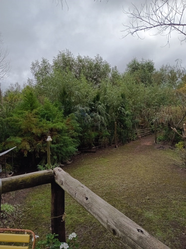 Cabaña Delta Tigre