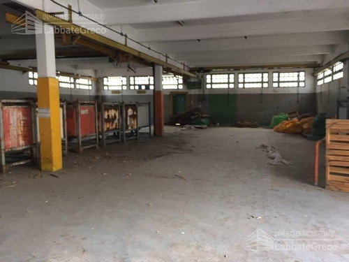 Imagen 5 de 14 de Depósito - Villa Martelli