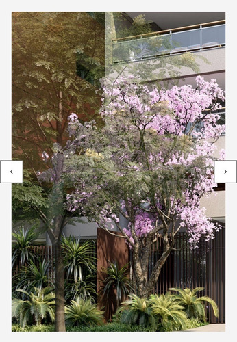 Imagem 3 de 14 de Apartamento À Venda Na Avenida Lavandisca, Indianópolis, São Paulo - Sp - Liv-14552