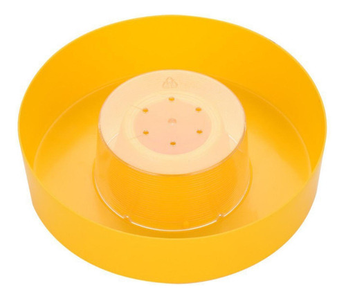 Colmena De Abejas, Alimentador De Agua Para Abejas,