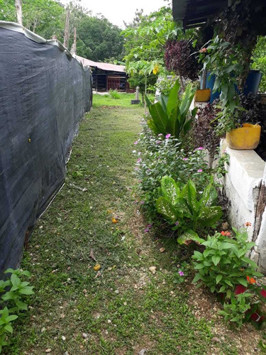 Imagen 6 de 14 de Venta De Finca, Arjona, Cartagena