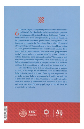 Expresiones Del Control Social, Juventud Y Transgresión Penal, De Emilio Daniel Cunjama López. Editorial Inacipe, Tapa Blanda, Edición 1ra. En Español, 2025