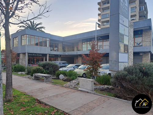 Arriendo Local Comercial Alta Visibilidad - Quilpué