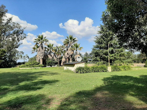 Imagen 8 de 18 de Excelente Casa Quinta Sobre Lote De 6615 Mts2