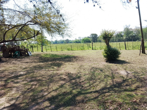 Quinta