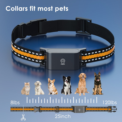 Collar Gps Rastreador Para Perro Gato Alerta Tiempo Real 4g Negro Y Naranjo Universal