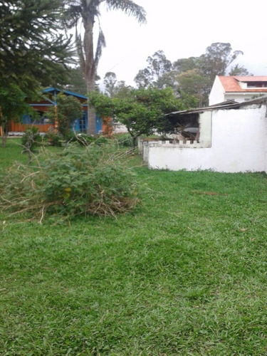 Imagem 11 de 29 de Casa Em Quatro Barras Com Amplo Terreno E Preço De Ocasião! - Ca00014 - 4832629