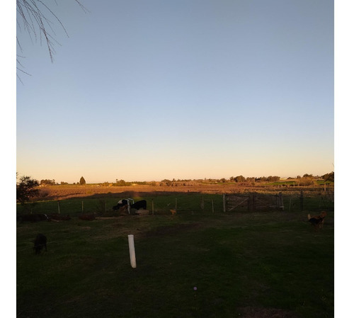 Imagen 8 de 8 de Vendo 12 Has Con Casa Pcipal, Casa Personal Y Galpón , Buen Lugar, Todo Alambrado