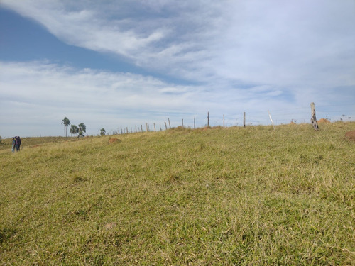Imagem 1 de 16 de G30- Garanta Já Seu Terreno Direto Com O Proprietário