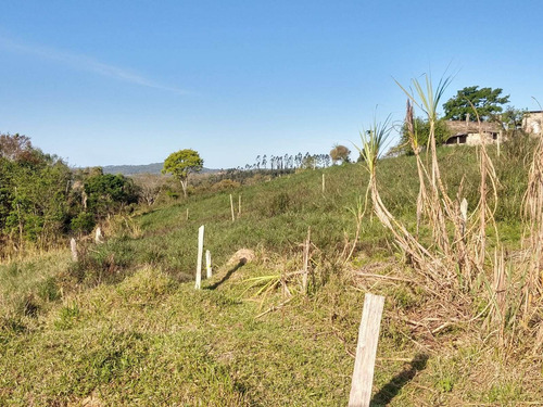 Imagem 26 de 30 de Chácara 42 Mil M2, Boa De Água Com Corrego, Casa Sede Com 5 Dormitórios, Toda Avarandada, Casa Caseiro, Piscina, Curral, Pasto, Pomar Em Formação - Ch00164 - 70147080