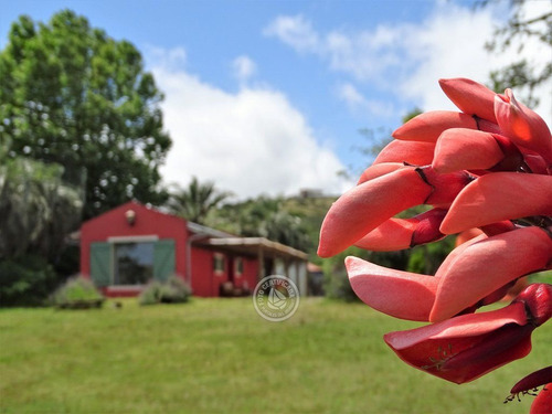 Chalet En Vergel De San Francisco 