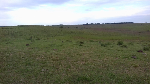 828 Ha Salto Fruticola Ganadero/ Agric Casco Luz Costas Río