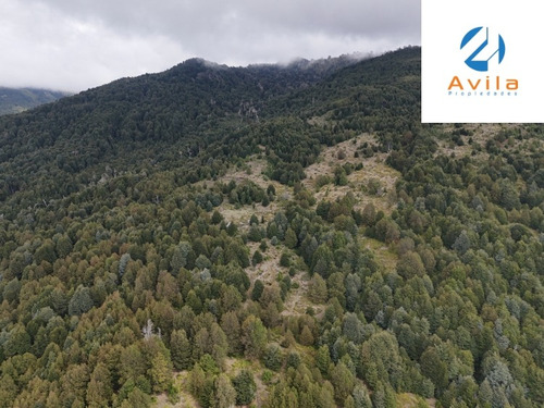 Pucon Sector Huampoe, Loteo Parcelas De 5.000m2 Cod.vtap061