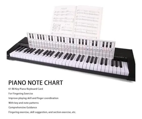 Gráfico De Notas De Piano Y Teclado, Visual Para Principiant