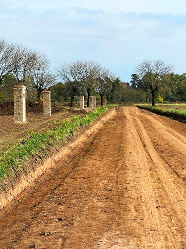 Lote En Venta En General Rodriguez, Zona Oeste, Sin Expensas, Excelente Ubicación Y Acceso Con Asfalto.