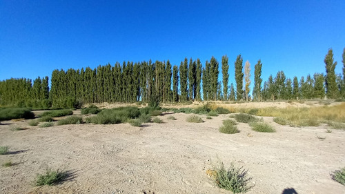 Imagen 9 de 30 de Chacra En Venta Con Casa Y Galpón Cervantes