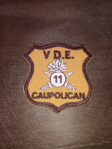 Parche V División De Ejército.Regimiento 11 Caupolican.