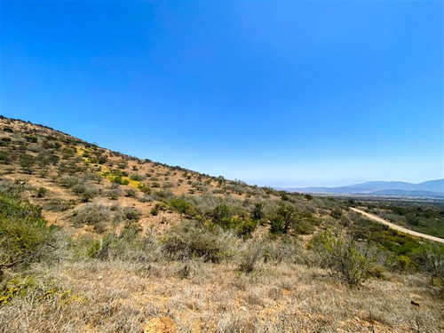 Imagen 4 de 29 de Sitio En 3 Has En Venta - Catapílco, Zapallar