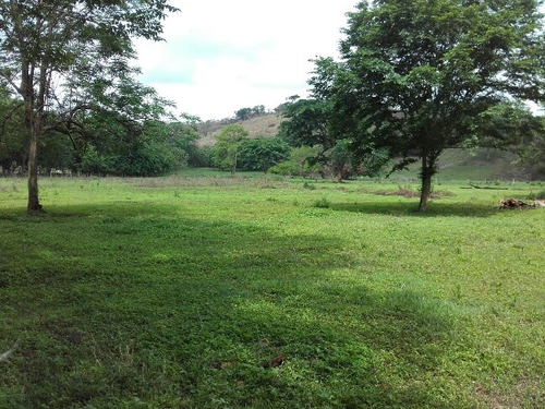 Granja Avicola Ganadera Minera Tinaquillo, Negociable