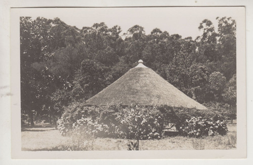 Antigua Postal Bosque Punta Del Este Fotografia De Cesare