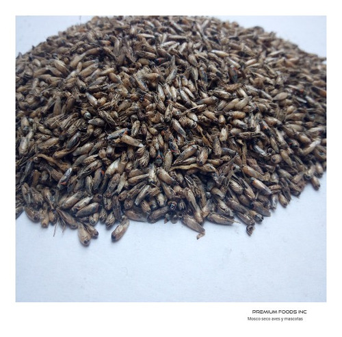 Imagen 3 de 10 de Mosco Seco 1.5kg Comida Para Pajaros,tortugas,ranas