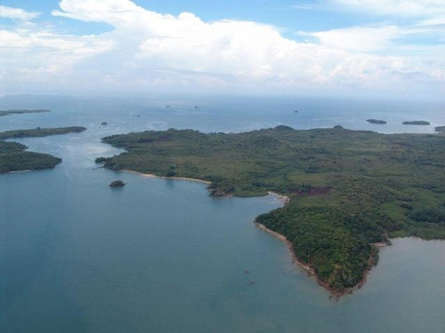 Imagen 2 de 14 de Venta De 43 Has De Terreno En Isla Del Rey, Taboga 21-2193