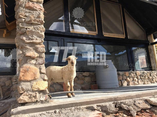 Imagen 15 de 19 de Terreno Lote En Venta Ubicado En Mendoza, Argentina