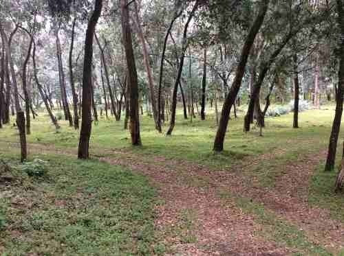 Imagen 10 de 14 de Terrenos En Venta A 15min De Valle De Bravo - Buen Precio