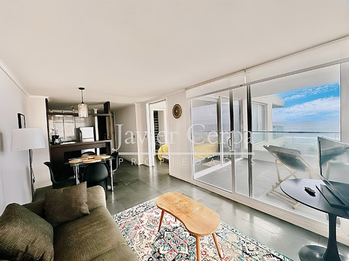 Arriendo De Marzo A Diciembre Depto Amoblado En Av Del Mar