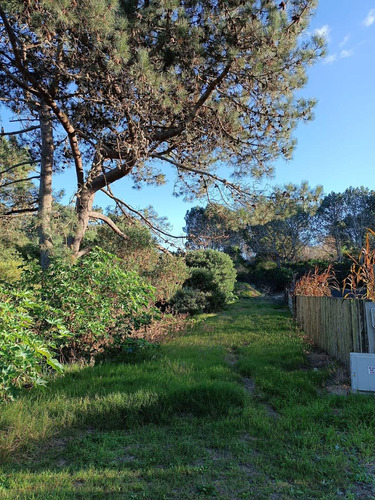 Terreno En Arenas De José Ignacio