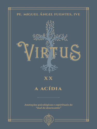 Virtus Xx - A Acídia: Anotações Psicológicas E Espirituais Sobre O Mal Do Desencanto, De Pe. Miguel Ángel Fuentes. Editora Verbo Encarnado, Capa Mole, Edição 1 Em Português, 2023