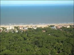 Imagen 2 de 4 de Lote En La Mejor Zona De Cariló