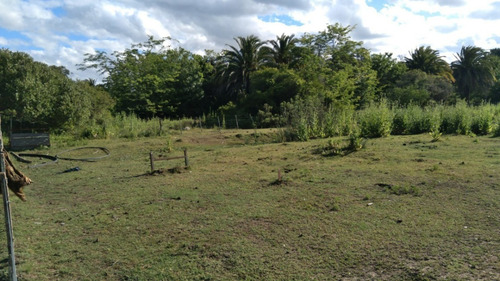 Imagen 4 de 6 de Quinta En Venta Chascomús.
