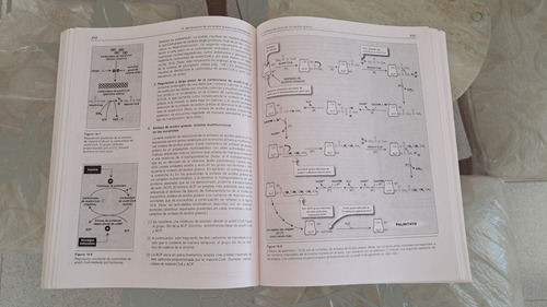 Bioquímica Harvey Champe Ferrier 3a Edición (Usado)