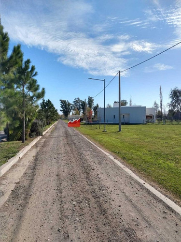Imagen 6 de 11 de Terreno - Pinares Del Sur - Piñero - Barrio Cerrado