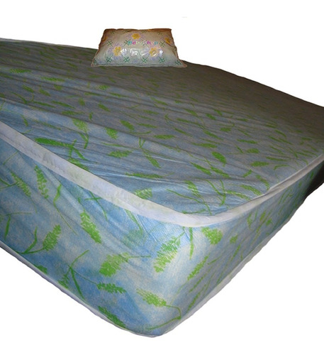 Colchon   Espuma 1 Plaza 190*80*20cm + Almohada De Regalo