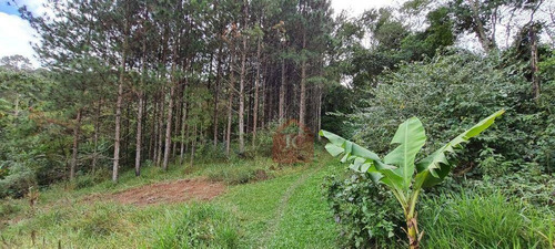 Imagem 23 de 30 de Chácara Com 3 Dormitórios À Venda, 96 M² Por R$ 3.450.000,00 - Colinas De Cotia - Cotia/sp - Ch0082