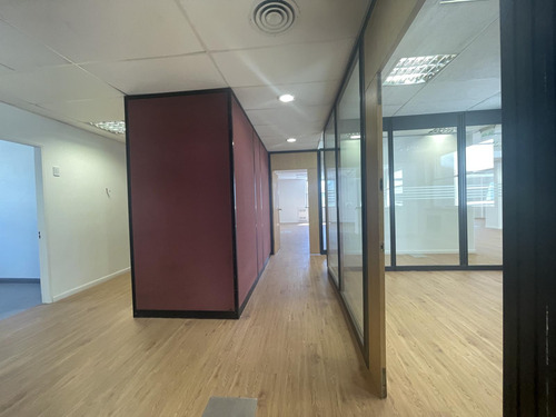 Oficina De 700 M2 En Monserrat