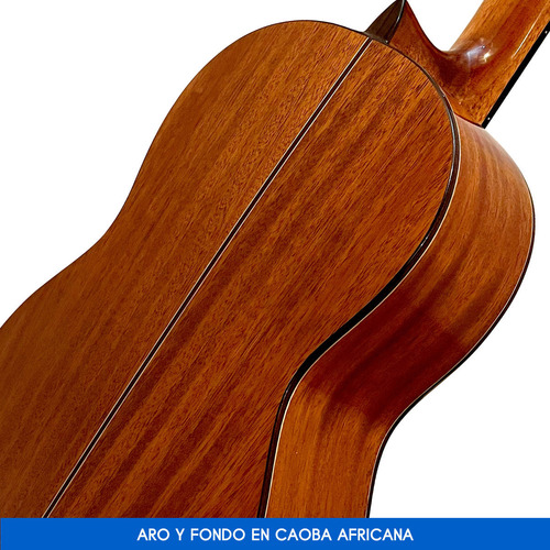 Guitarra Criolla Concierto Rómulo García H-800 Tapa Solida