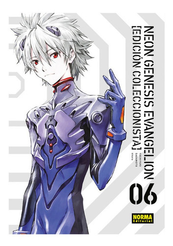 Neon Genesis Evangelion 6 (edición Coleccionista), De Yoshiyuki Sadamoto Y Khara. Editorial Norma, Tapa Blanda En Español