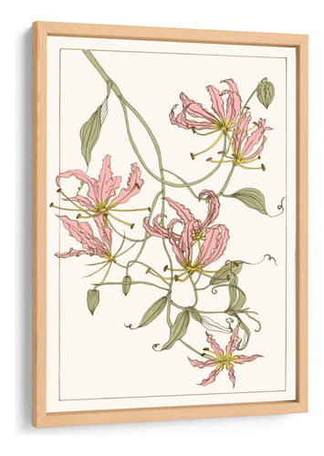 Cuadro Enmarcado Pino Gloriosa Botánica Lily Ii 20x30