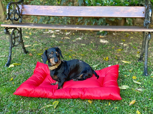Imagen 2 de 5 de Cama Para Perro Tapiz Grande