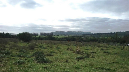 Imagen 10 de 15 de Fracción De Campo Con Costa De Arroyo Y Corriente Eléctrica