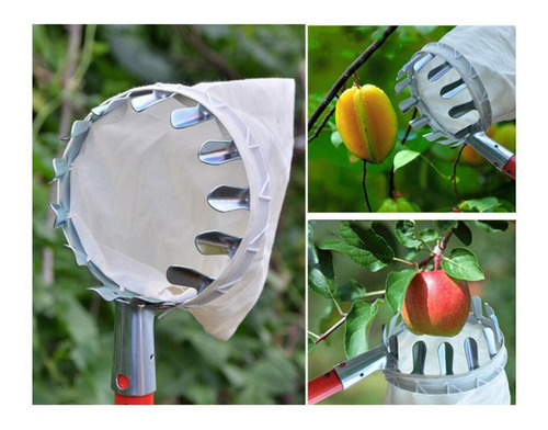 Imagen 2 de 9 de Poste Recolector De Frutas Con Canasta 14cm De Diámetro