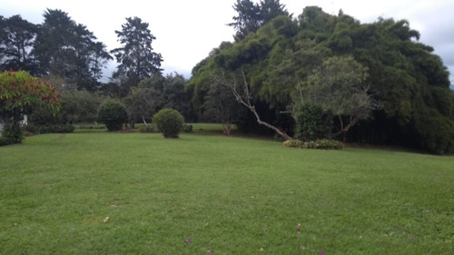 Finca En Sector Comercial Llanogrande, Rionegro