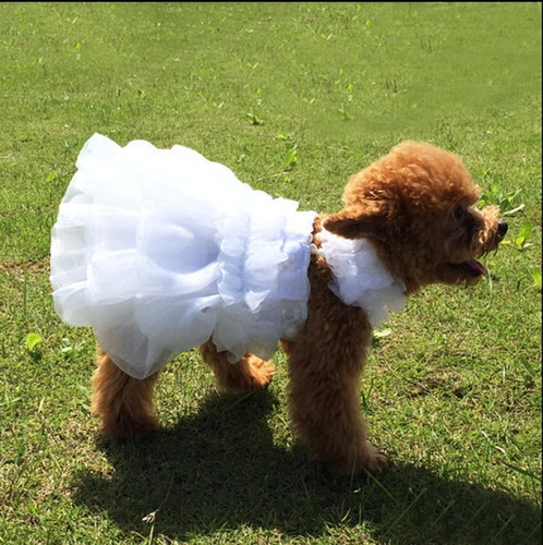 Imagen 4 de 7 de Worderful Vestido De Novia Para Perro Con Collar De Perla...