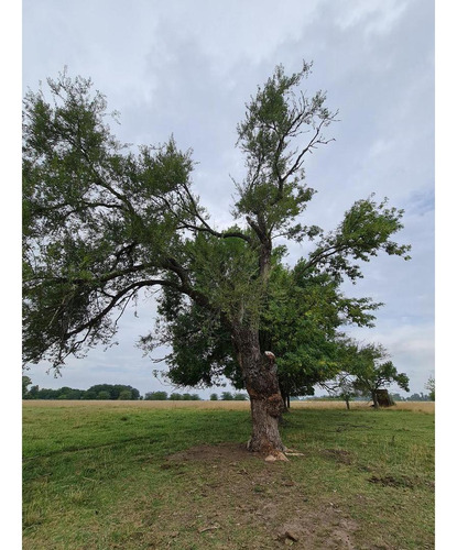 En Venta Campo De 15ha. Ideal Desarrollo