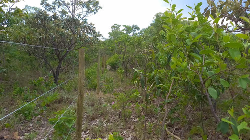 Área Chácara Cavalcante-go 1 Hectares