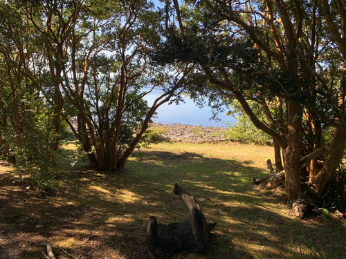 Parcela Con Cabaña - Orilla Lago Puyehue
