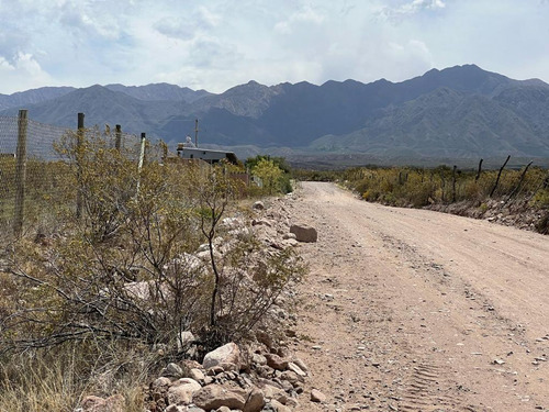 Lote En La Magdalena Olivar